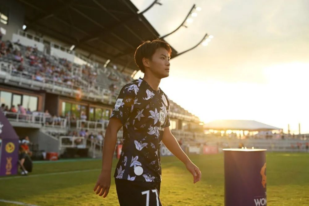 正风武馆在本地很有名望，由于本地一年一度的舞狮年夜会正风武馆已持续七年夺冠。本年，舞狮年夜会举行方为了吸引眼球，设了难度极高的采青年夜赛。阿昆和阿龙（成龙 饰）是正风武馆的师兄弟，每一年都是阿昆代表武馆预赛。不意本年出赛头几天操练时阿昆掉足扭伤了，馆长无奈之下只能 派出阿龙出赛。                                  　　阿龙因为初次参赛，并且本年难度很是年夜，终究败下阵来。固然遭到了其他师兄弟的取笑，但阿龙丝